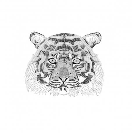 Panthera tigris tigris made with fineliners on A3 paper for charity