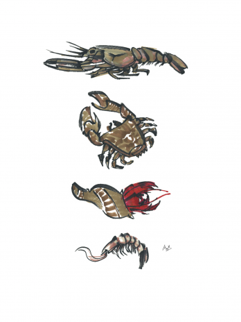 Crustacean Quartet (shellfish)