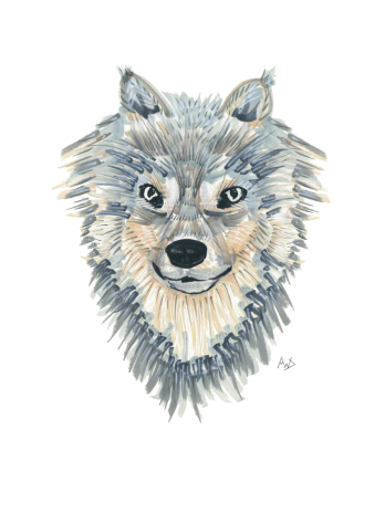 Arctic Ancestor (wolf)