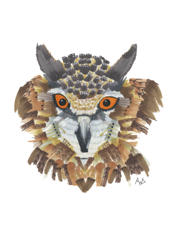 Horned Watcher (owl)