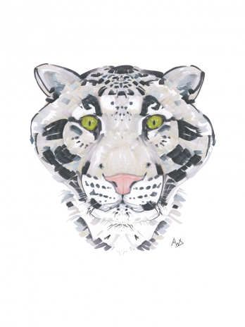 Peridot Prince (clouded leopard)